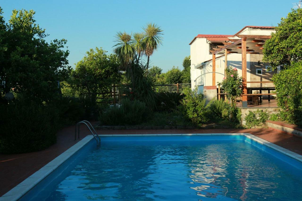 Villa Desiderio D'Ammore Corbara  Exterior foto