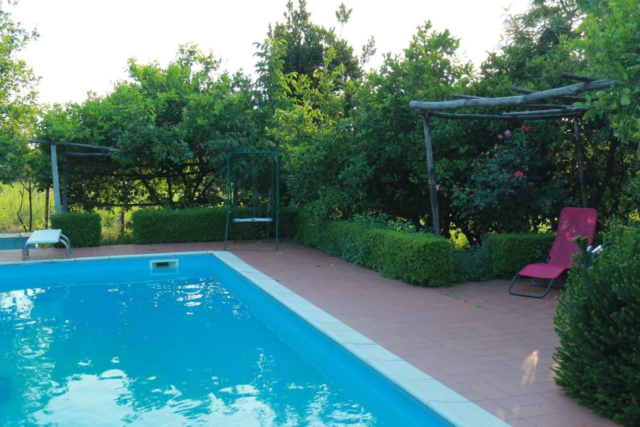 Villa Desiderio D'Ammore Corbara  Exterior foto