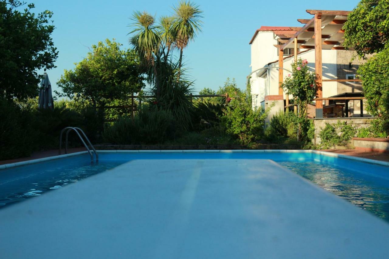 Villa Desiderio D'Ammore Corbara  Exterior foto